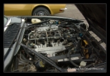 V12 Jaguar XJS.DNG